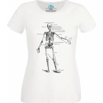 Dámské tričko Anatomie kostlivce Anatomy of Skeleton (Velikost: 4XL, Barva: Bílá)