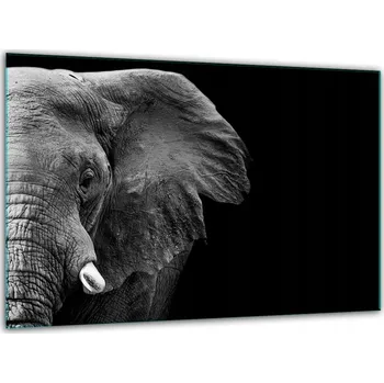 Kuchyňské prkénko Krájecí deska TMK ArtDeko sklo 1 ks