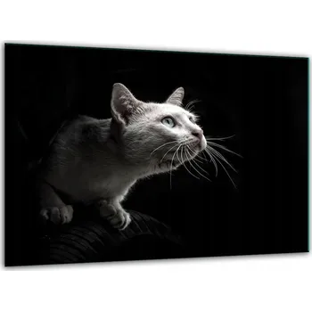 Kuchyňské prkénko Krájecí deska TMK ArtDeko sklo 1 ks