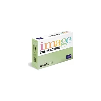 Papír pro tiskárny Antalis Papír Image Coloraction Forest - pastelově zelená (MG28) A4 (80g/100ks)