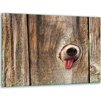 Kuchyňské prkénko Krájecí deska TMK ArtDeko sklo 1 ks