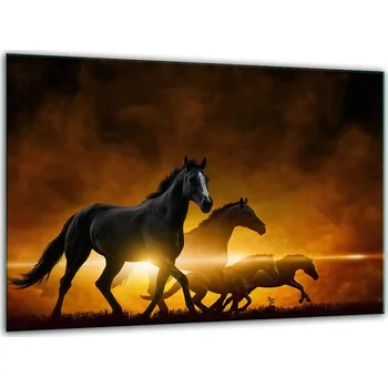 Kuchyňské prkénko Krájecí deska TMK ArtDeko sklo 1 ks