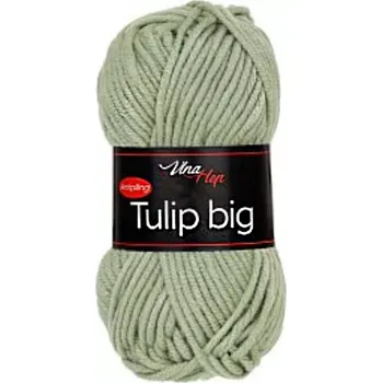 Tulip Big 41307 - Vavřín