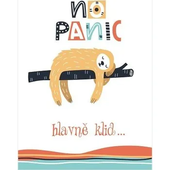 STIL Blahopřání "NP" Celorok 313 lenochod