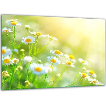 Kuchyňské prkénko Krájecí deska TMK ArtDeko sklo 1 ks