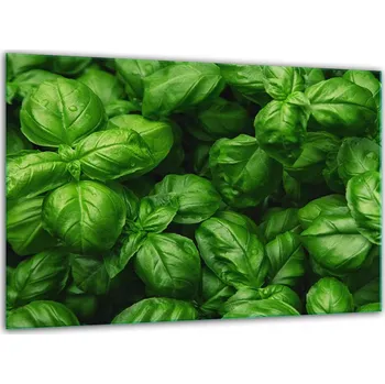 Kuchyňské prkénko Krájecí deska TMK ArtDeko sklo 1 ks