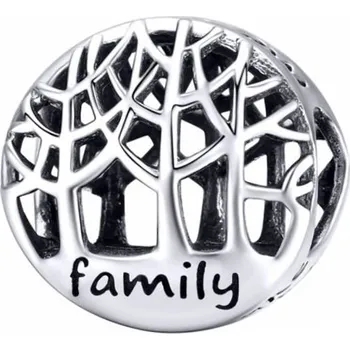 Přívěsek Stříbrný přívěsek korálek family