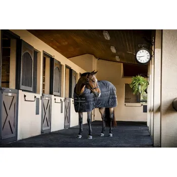 Deka pro koně Deka stájová Amigo Ripstop Insulator, 350 g, black/black & silver Délka zad: 145 cm