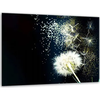 Kuchyňské prkénko Krájecí deska TMK ArtDeko sklo 1 ks