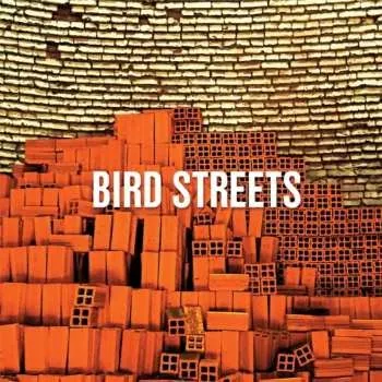 Zahraniční hudba CD Bird Streets: Bird Streets 2018