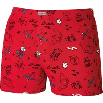 Trenýrky Pánské trenýrky Andrie 5802