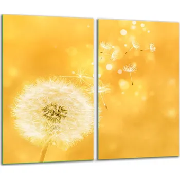 Obraz Krájecí deska TMK ArtDeko sklo 2 ks