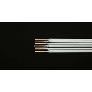 Příslušenství ke svářečce Technolit TS22 - Elektroda Varianta: 2,00 x 300 mm / 1 kg (88 ks) *