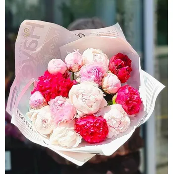 Sazenice Pivoňky mix barev