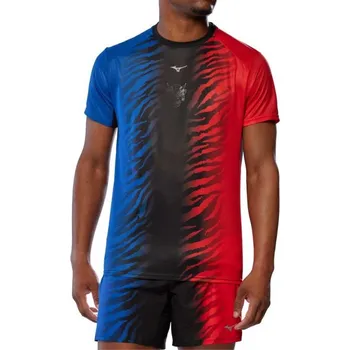 Pánské tričko Mizuno Graphic Tee 99 pánské běžecké tričko M