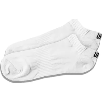 Pánské ponožky Ponožky FLINT WHITE / 40-42