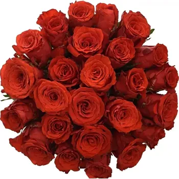 umělá květina Kytice 25 červených růží BRIGHT TORCH 60 cm