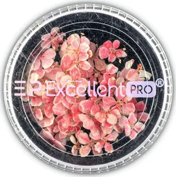 Sušený květ na zdobení nehtů červeno-krémové 50 ks 001