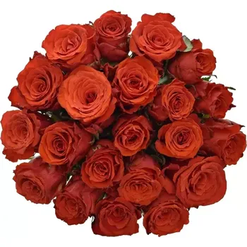 umělá květina Kytice 21 červených růží BRIGHT TORCH 60cm