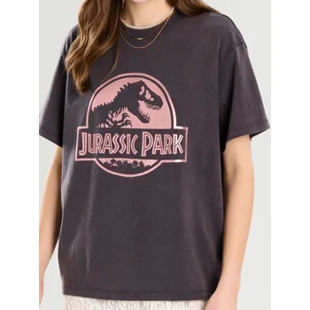 Dámské tričko Sinsay - Tričko oversized Jurassic Park - šedá - 461DO-90X - 461DO-90X-XXS
