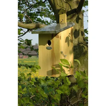 Hnízdní budka Pozorovací Hnízdo BEST FOR BIRDS|Esschert Design