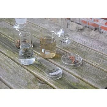 Petriho miska, V|Esschert Design