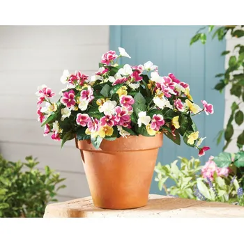 Dámské pantofle 3Pagen 3 kytice macešek