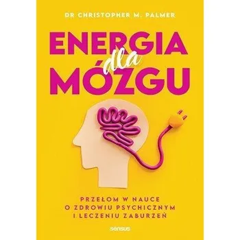 Energia dla mózgu - Palmer, Christopher
