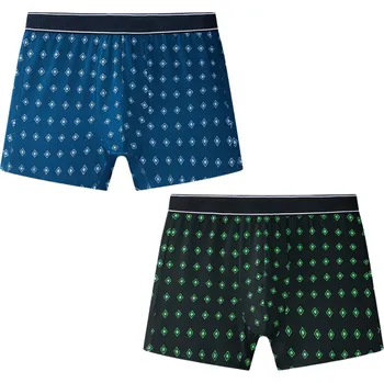 Boxerky Pánské trenkoslipy dvojpack Wolf L2584