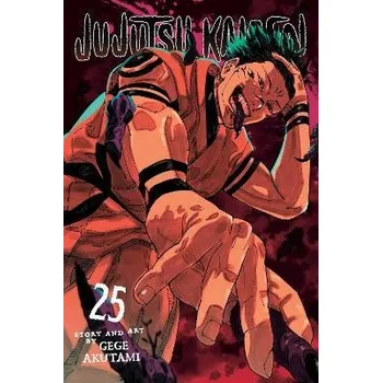 Beletrie pro dospělé Jujutsu Kaisen, Vol. 25