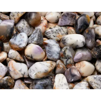 Sběratelství Tromlovaný dendritický opál Množství: 1 kus