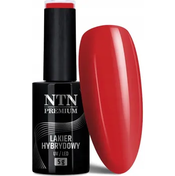Přípravek na nehty Hybridní lak na nehty NTN 5g Kolekce Design Your Style, červený Č. 42