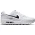 Dámské tenisky NIKE Air Max 90 DH8010-101