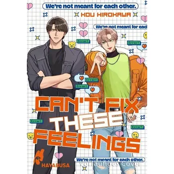 Komiks pro dospělé Can't Fix These Feelings - Hirokawa, Kou