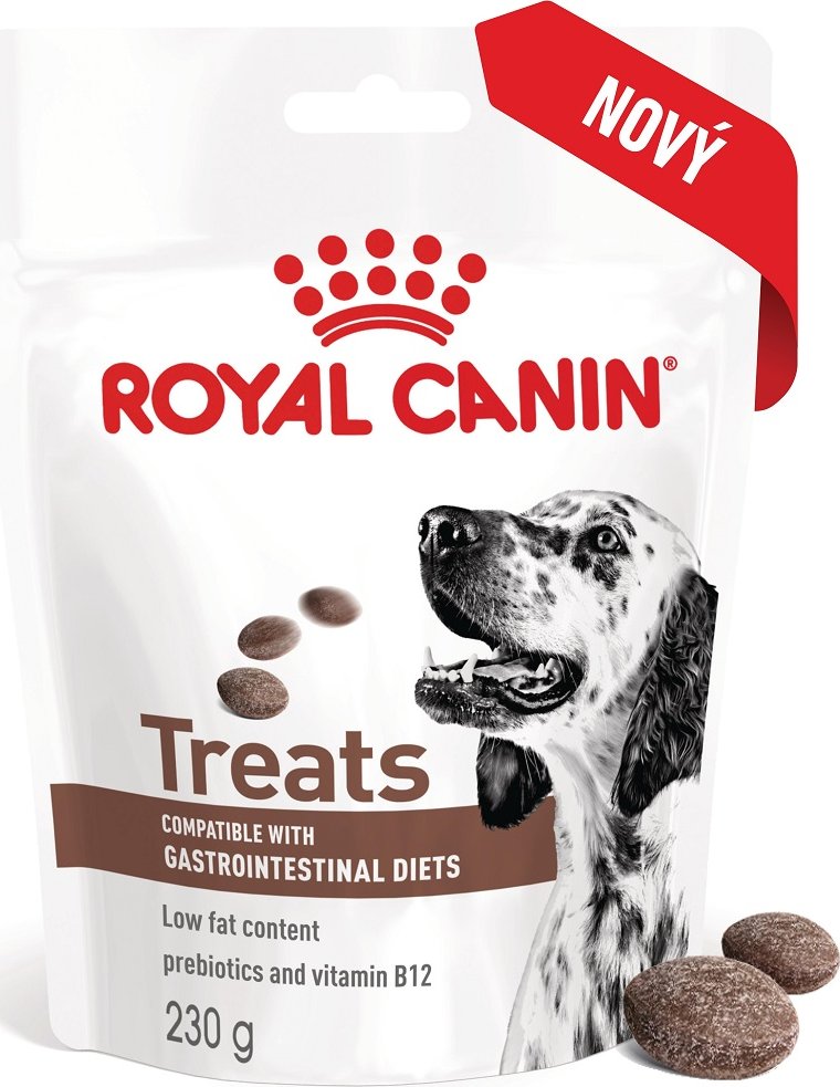 ROYAL CANIN Dog Gastrointestinal Treats 230g