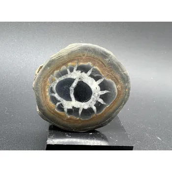 Sběratelství Septárie - Maroko