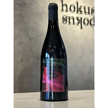 Víno Jean-Pierre Robinot - Regard 2023 0,75 l - naturální víno