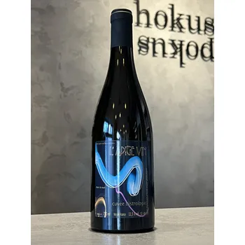 Víno Jean-Pierre Robinot - Bistrologie 2023 0,75 l - naturální víno