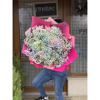 Svatební dekorace Kytice nevěstin závoj - gypsofila Nevěstin závoj 30 stonků - rozvoz Praha