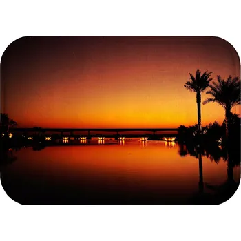 Koupelnová předložka KOUPELNOVÁ PŘEDLOŽKA PROTISKLUZOVÁ ANTIBAKTERIÁLNÍ 60X40 NOČNÍ PALMY JEZERO