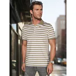 Pánská košile polo s pruhy PX0640 Barva: Zelená, Velikost: 2XL