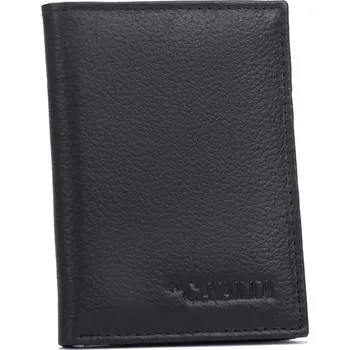 Ledvinka Kožené pouzdro na karty s RFID systémem