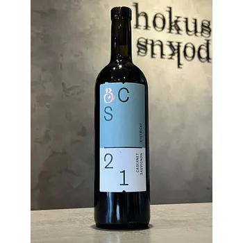 Bystřický - Cabernet Sauvignon 2021 0,75 l - naturální víno