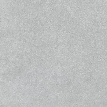 Dlažba Extra - dlaždice rektifikovaná 19,7x19,7 světle šedá, tl. 9 mm DAR25723