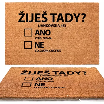 Rohožka Kokosová rohožka před dveře 40x60cm ZIJES TADY ANO NO Česká ADRESA