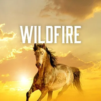 Kniha Wildfire Ekniha