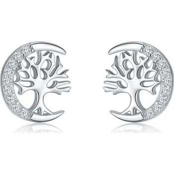 Náušnice Dámské stříbrné náušnice CALI Ag 925