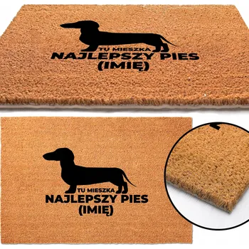 Rohožka ROHOŽKA 40x60 Tady bydlí ten nejlepší PES Mix