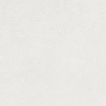 Obklad Extra - dlaždice rektifikovaná 19,7x19,7 bílá, tl. 9 mm DAR25722