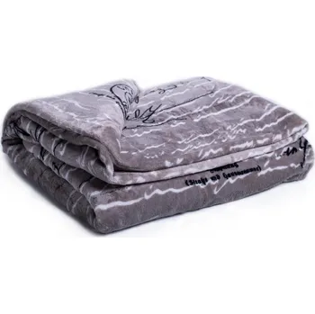 deka Deka z mikrovlákna Postcard 150x200